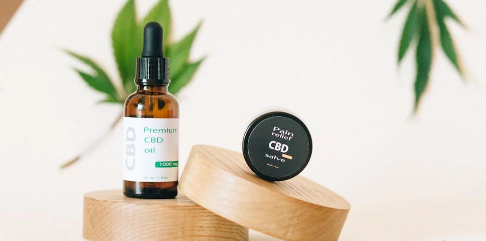 Fun Facts About CBD Oil for Dogs